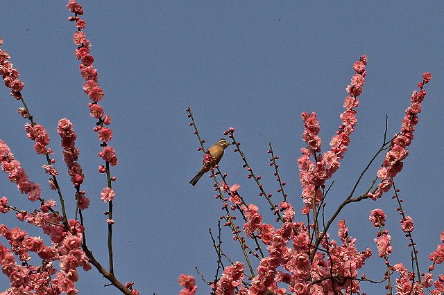 a0242438_1954357.jpg