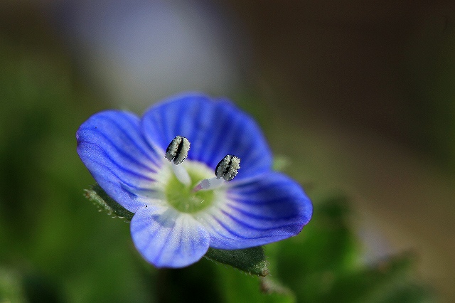a0242438_19562741.jpg