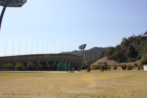 d0175746_22165459.jpg