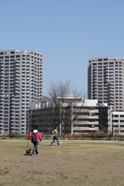 d0175746_224797.jpg