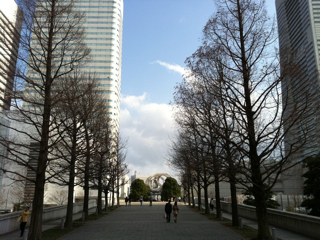f0179947_1103167.jpg