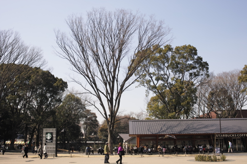 b0129548_018132.jpg