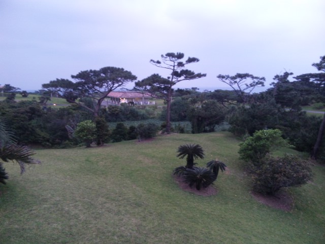 d0031853_8343799.jpg