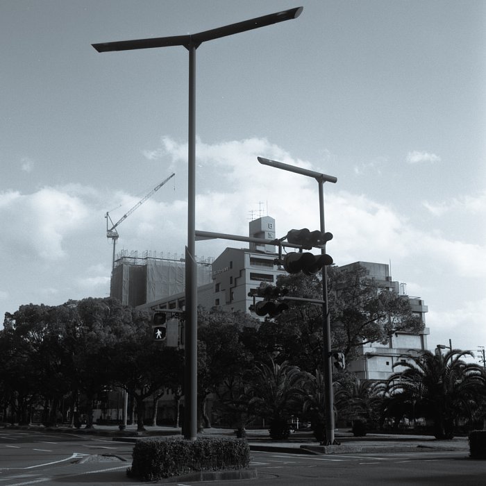 b0175964_2312574.jpg