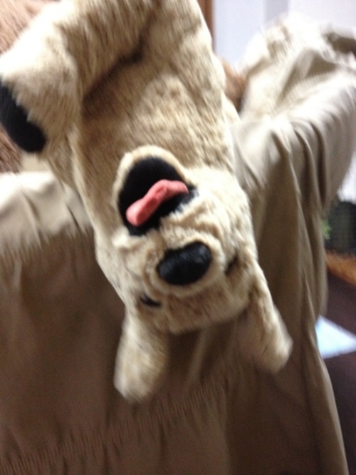 c0283778_1410463.jpg