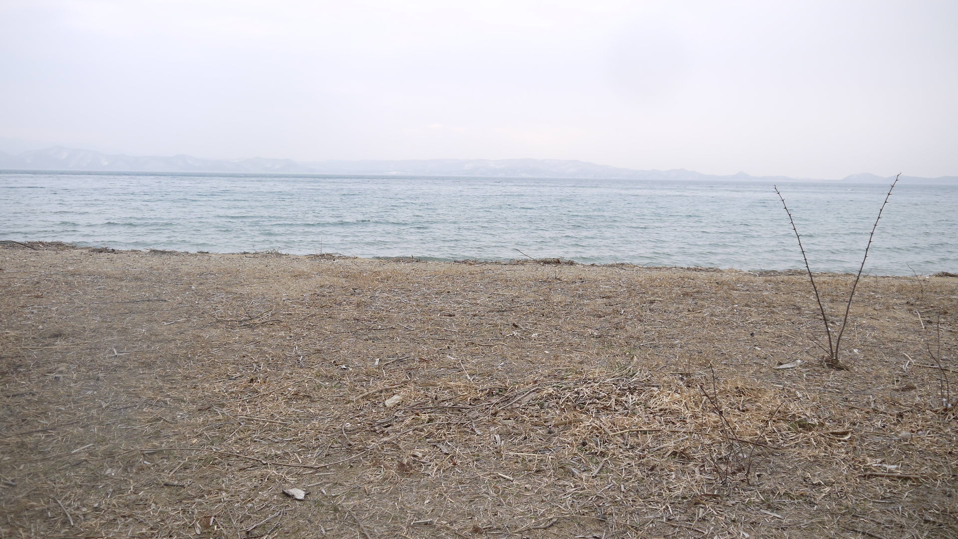 c0283778_14414458.jpg