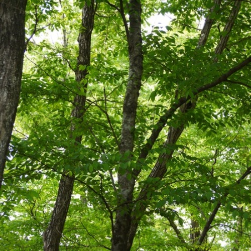 c0283778_18114648.jpg