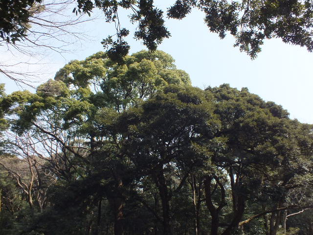 e0145782_14403421.jpg