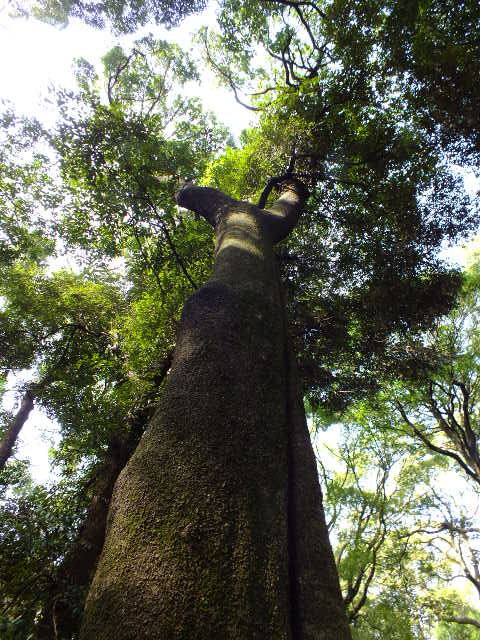e0145782_14435899.jpg