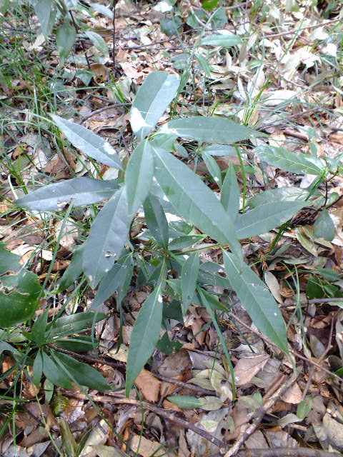 e0145782_1445145.jpg