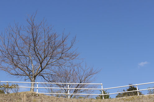 f0222692_18501435.jpg