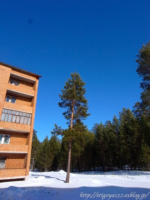 e0250594_22453570.jpg