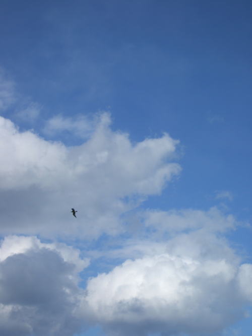 e0017396_20391529.jpg