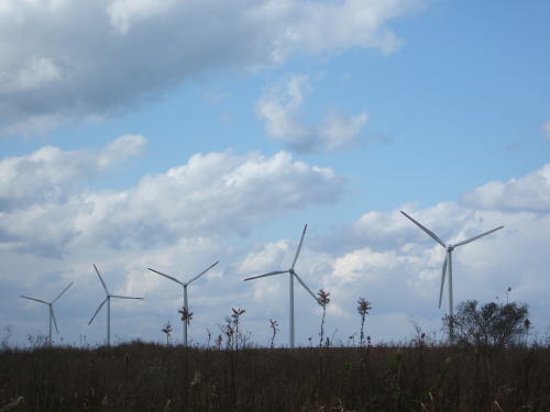 e0017396_2132524.jpg