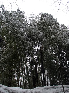 c0187298_21105100.jpg