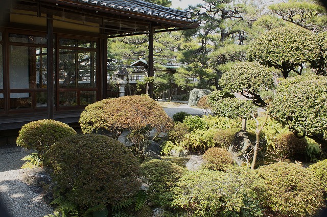 d0154609_1173294.jpg