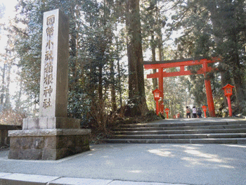 c0083817_16433794.gif