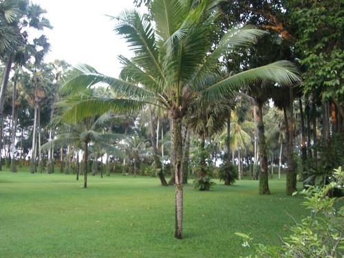 c0265521_1735839.jpg