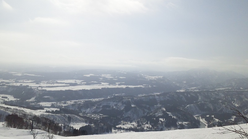 b0199924_1325544.jpg