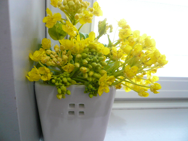 a0162330_13021.jpg
