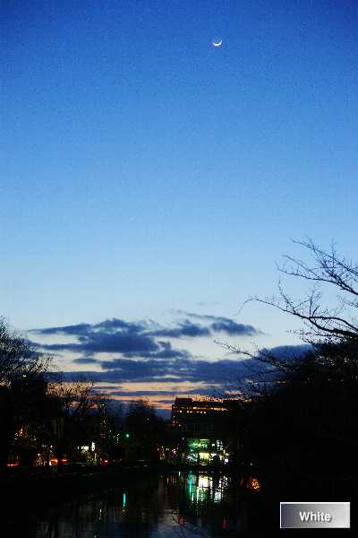 c0227134_5342487.jpg