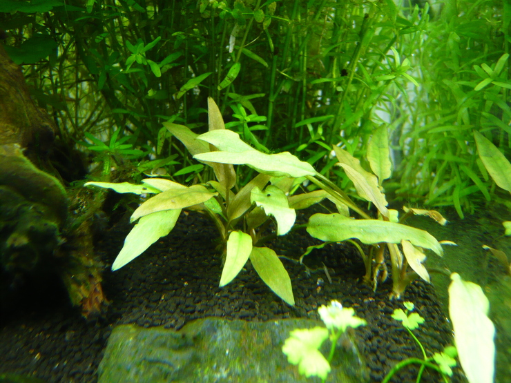 c0250835_15185262.jpg