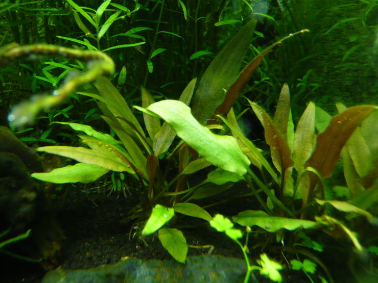 c0250835_1528346.jpg