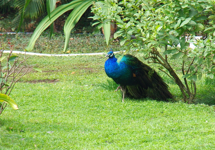 b0242140_10153252.jpg