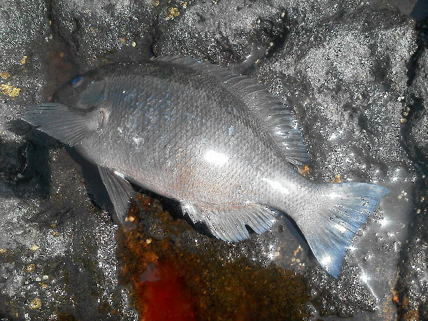 a0107341_13435986.jpg