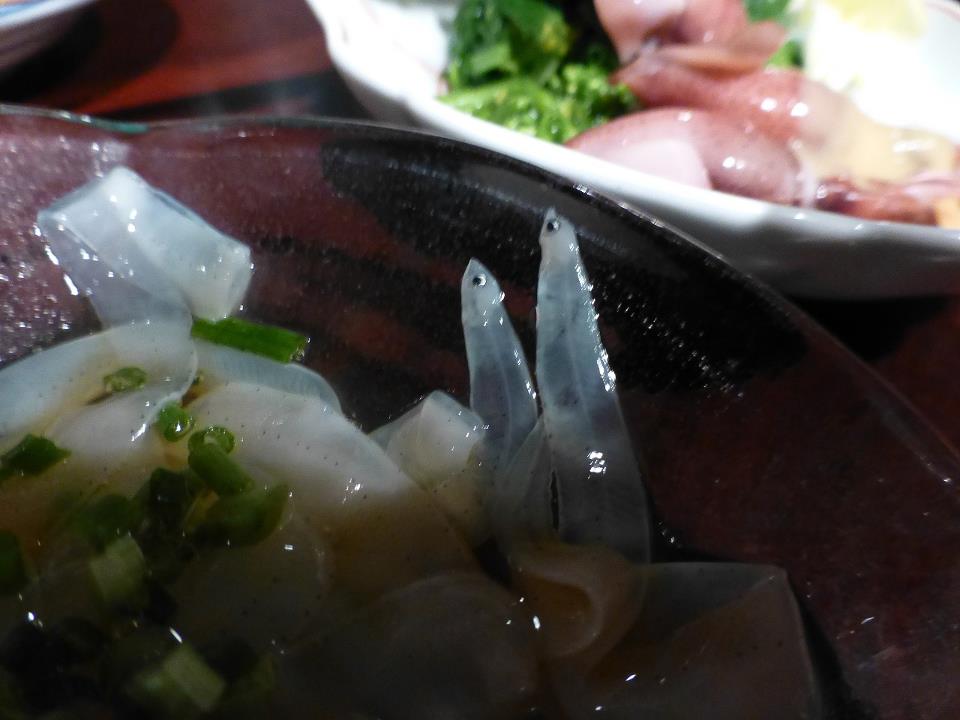 c0100865_6342736.jpg