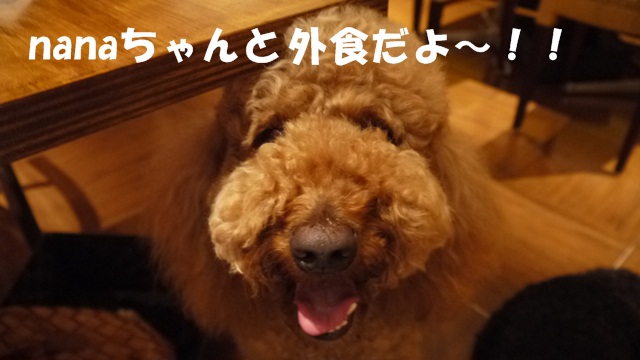 c0283778_16105180.jpg
