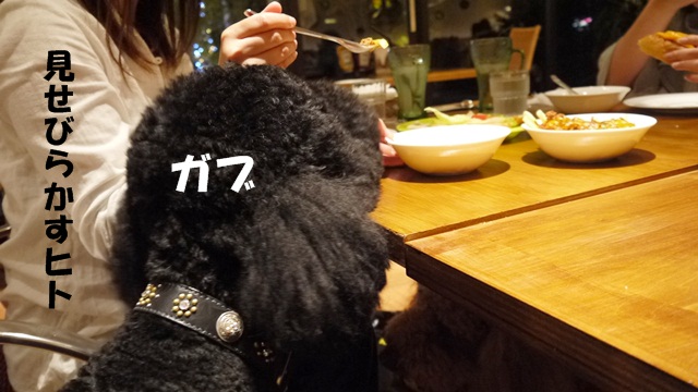 c0283778_1610532.jpg
