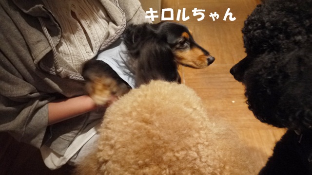 c0283778_16105326.jpg