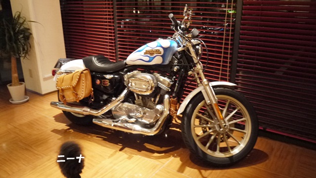 c0283778_16105426.jpg