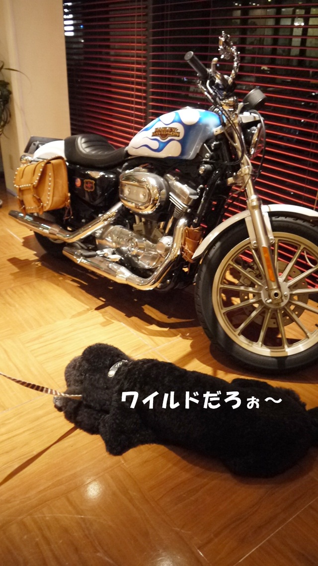 c0283778_16105669.jpg