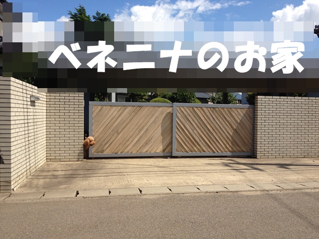 c0283778_18101518.jpg