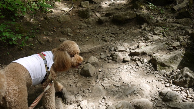 c0283778_19101062.jpg
