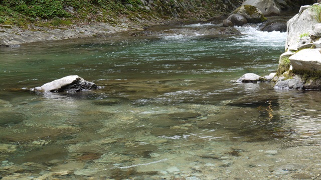 c0283778_1910560.jpg