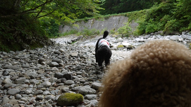 c0283778_1910839.jpg