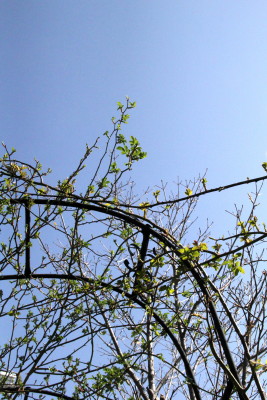 e0154682_2230921.jpg