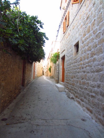 c0180096_6251726.jpg
