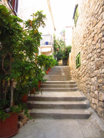 c0180096_6253158.jpg