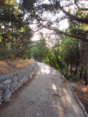c0180096_6261646.jpg