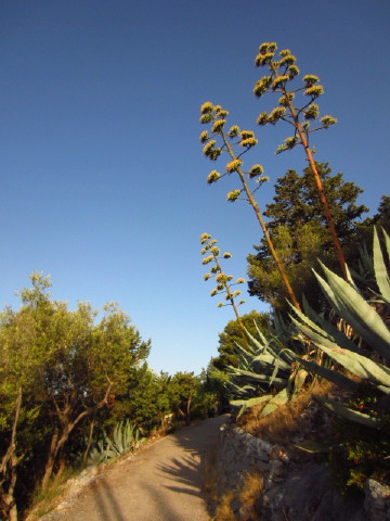 c0180096_6272741.jpg