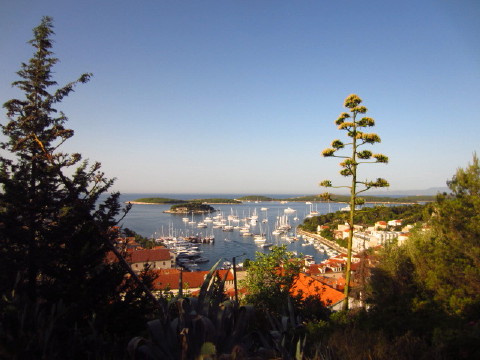 c0180096_6275820.jpg