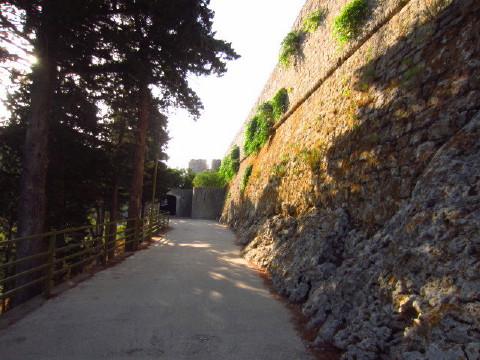 c0180096_6301415.jpg