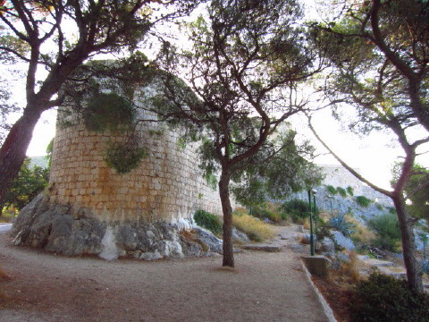 c0180096_817195.jpg