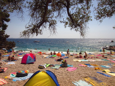 c0180096_8545482.jpg