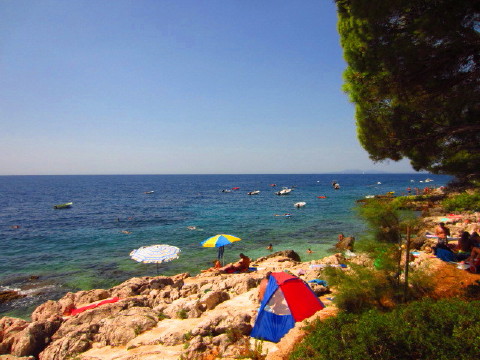 c0180096_855378.jpg
