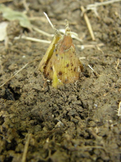 e0017396_215183.jpg